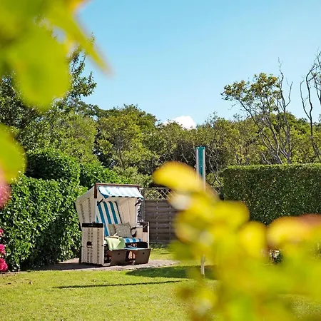 Bachstelze List auf Sylt